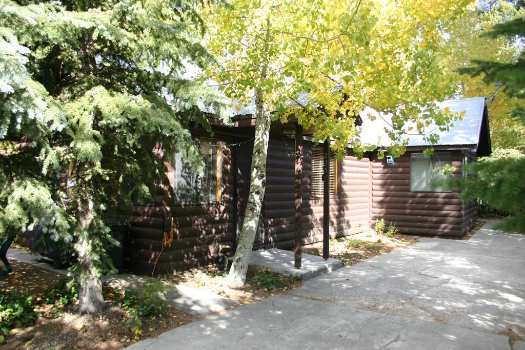 Yellowstone Wildlife Cabins West Yellowstone Esterno foto
